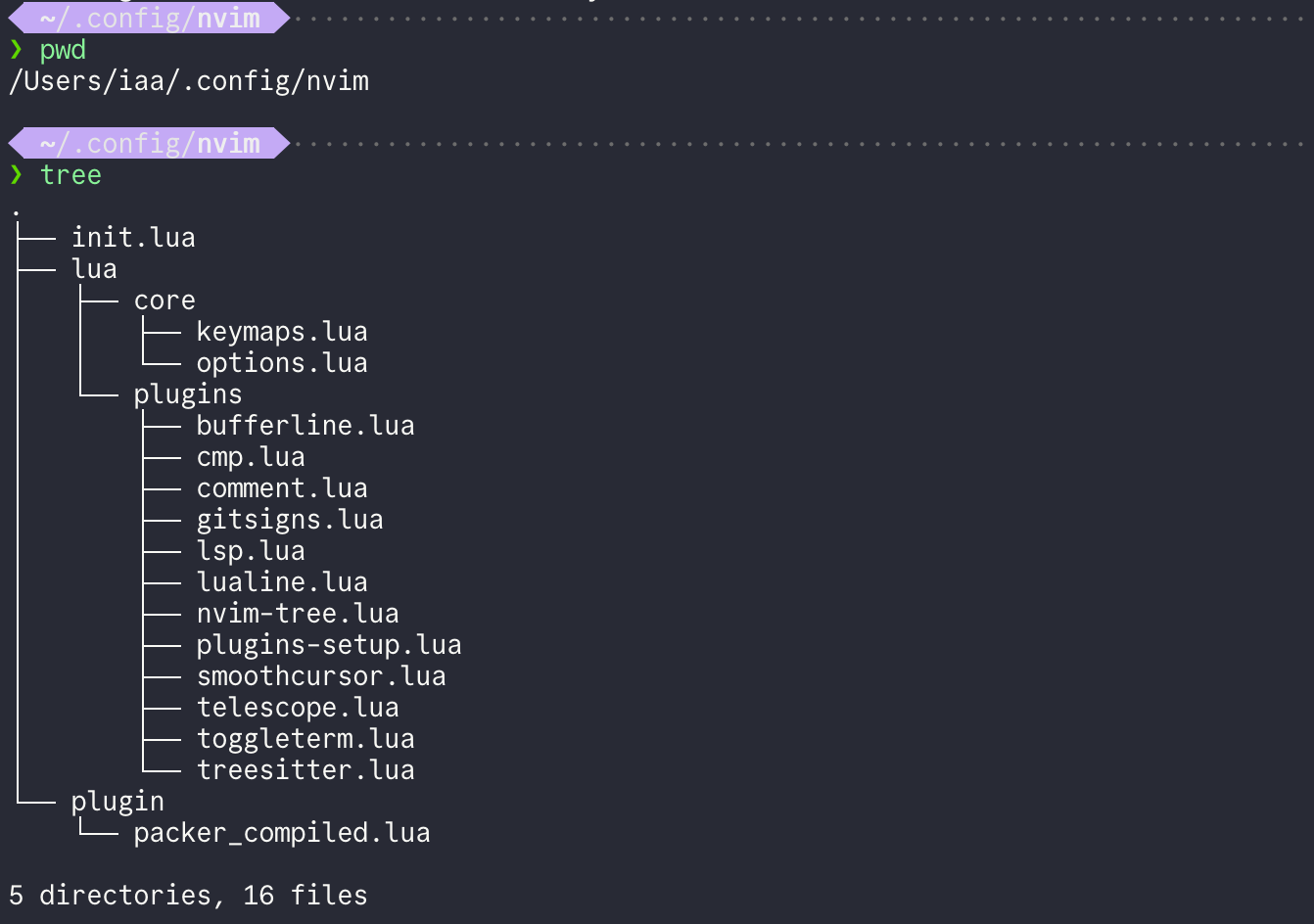 nvim\u914d\u7f6e\u6587\u4ef6\u5939\u5b58\u653e\u4f4d\u7f6e